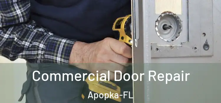  Commercial Door Repair Apopka-FL