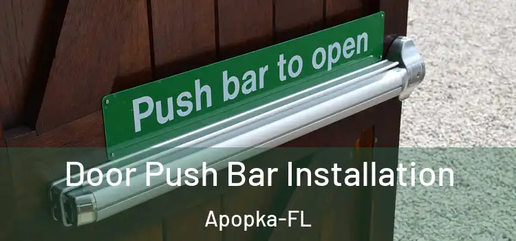  Door Push Bar Installation Apopka-FL
