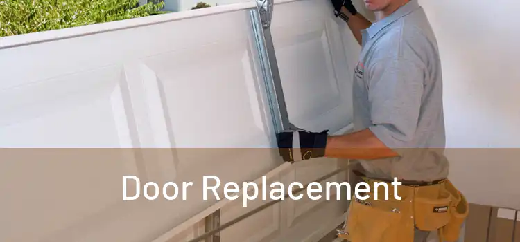  Door Replacement 