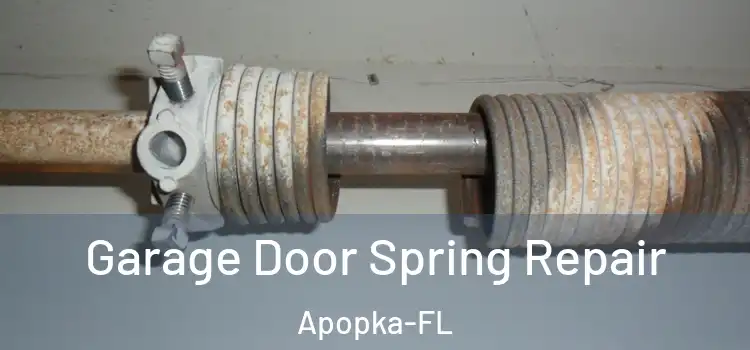  Garage Door Spring Repair Apopka-FL