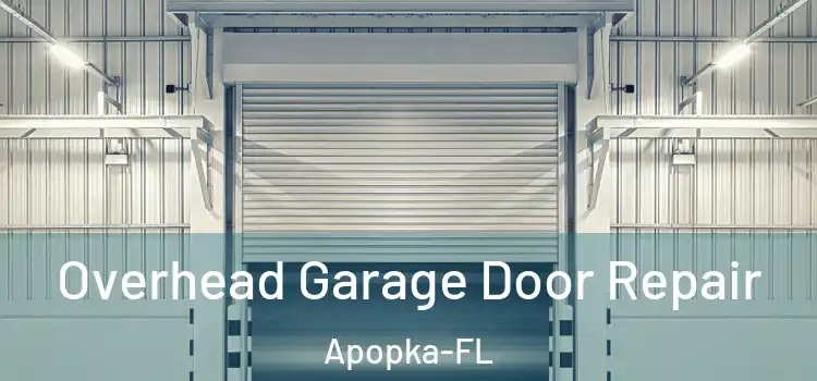  Overhead Garage Door Repair Apopka-FL