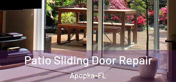  Patio Sliding Door Repair Apopka-FL