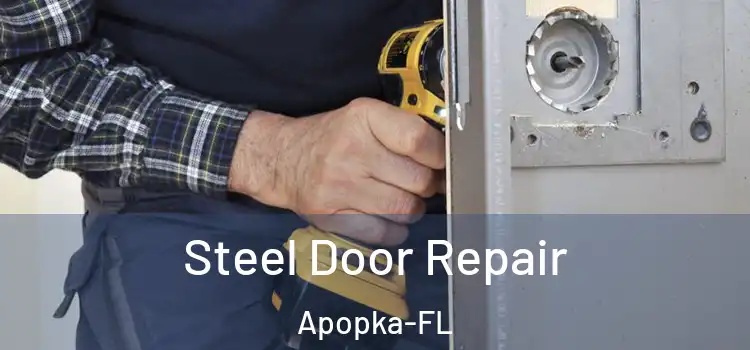  Steel Door Repair Apopka-FL